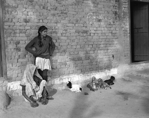 Lucknow, Uttar Pradesh. February 2014