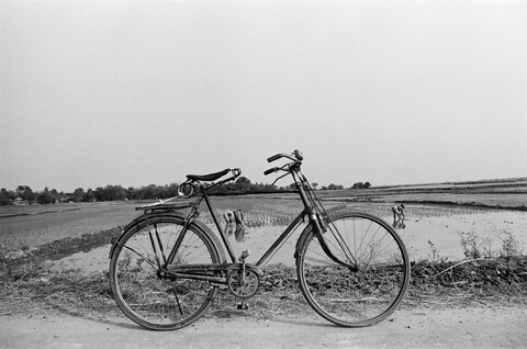 Bengal. 2014 &amp; 2015