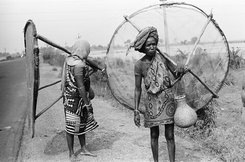 Bengal. 2014 &amp; 2015