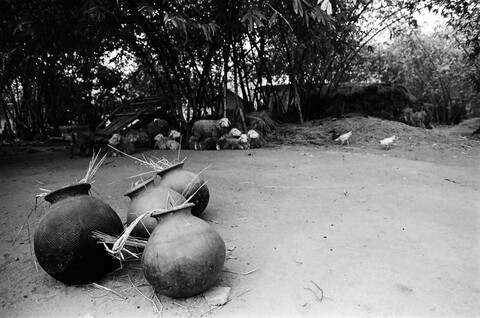 Bengal. 2014 &amp; 2015