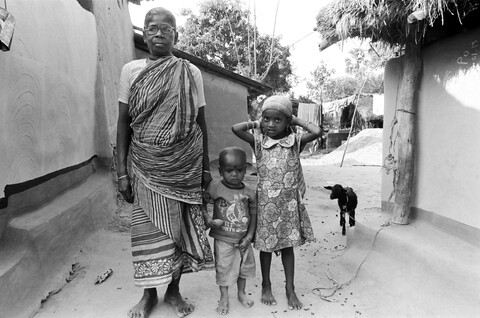 Bengal. 2014 &amp; 2015