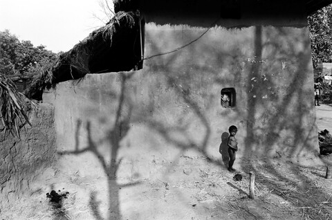 Bengal. 2014 &amp; 2015