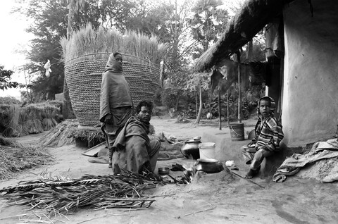 Bengal. 2014 &amp; 2015