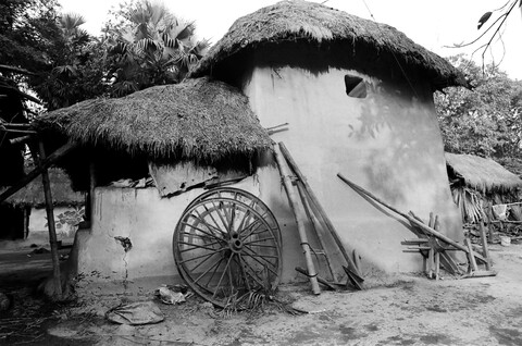 Bengal. 2014 &amp; 2015