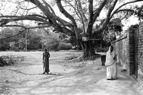 Bengal. 2014 &amp; 2015