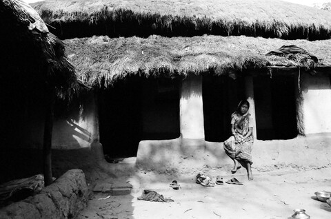 Bengal. 2014 &amp; 2015