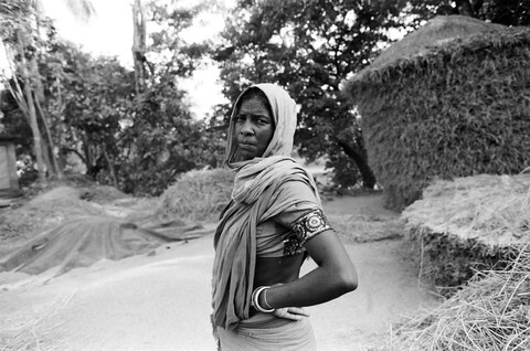 Bengal. 2014 &amp; 2015