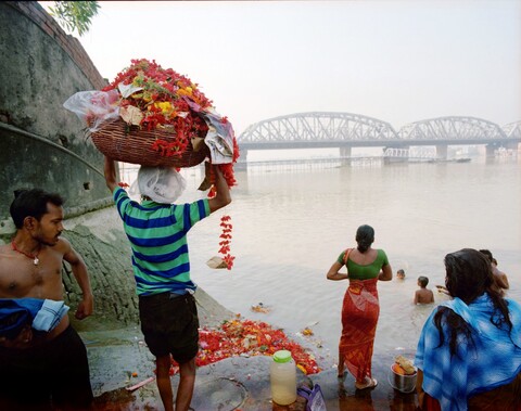 Bengal. 2014 &amp; 2015