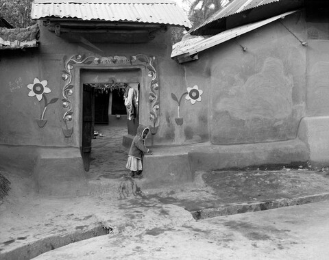 Bengal. 2014 &amp; 2015