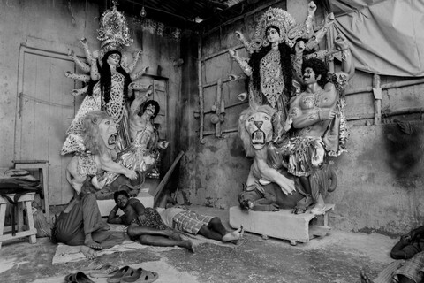 Bengal. 2014 &amp; 2015