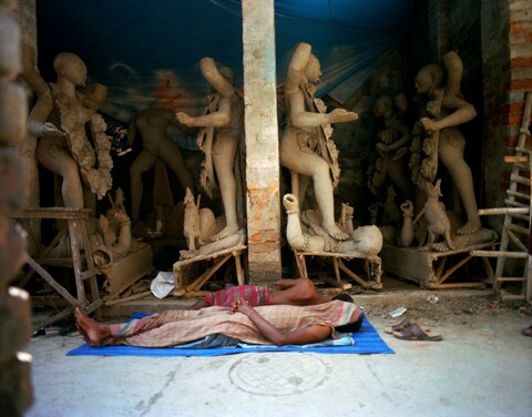 Bengal. 2014 &amp; 2015