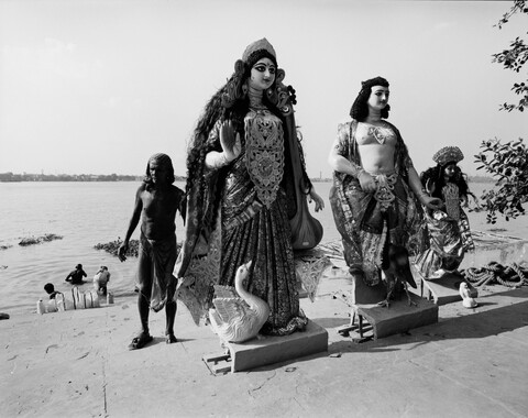 Bengal. 2014 &amp; 2015