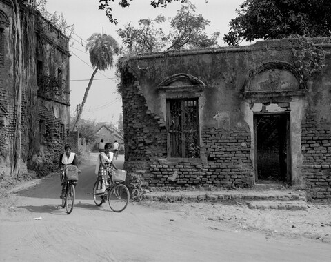 Bengal. 2014 &amp; 2015