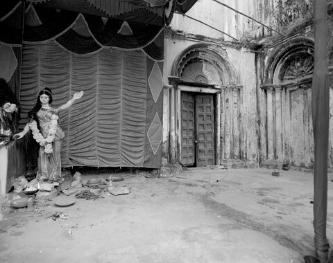 Bengal. 2014 &amp; 2015