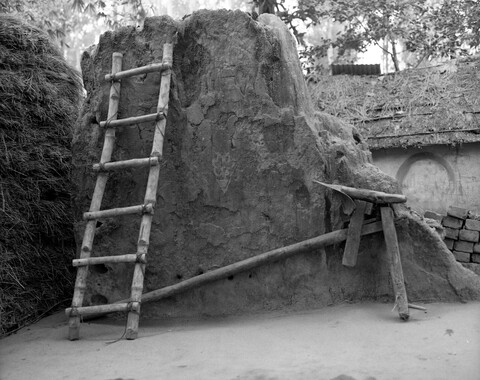 Bengal. 2014 &amp; 2015