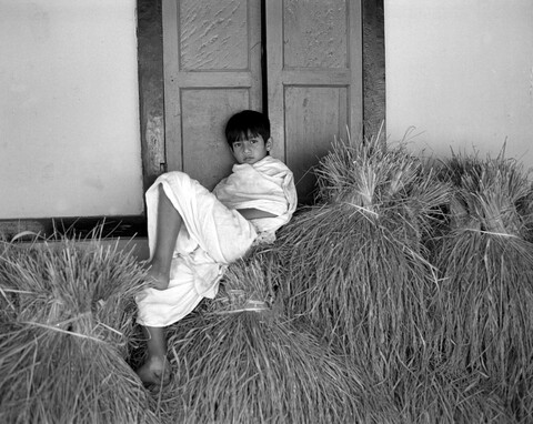 Kamalabari Sattra, Bhokot 3 Majuli, Assam. November 2015
