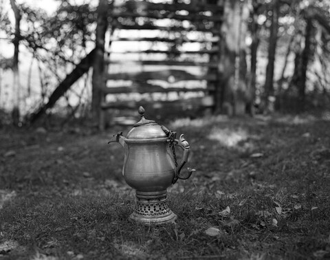 Lolab Valley, Kashmir. May 2016