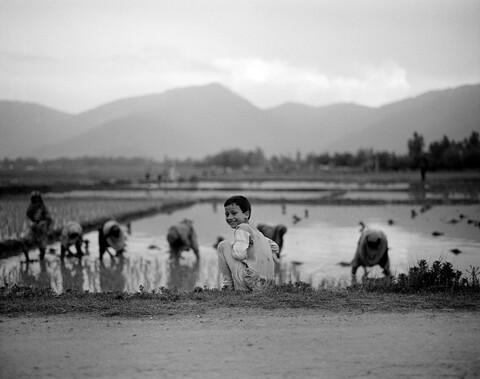Lolab Valley, Kashmir. May 2016