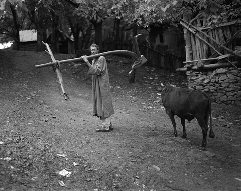Lolab Valley, Kashmir. May 2016