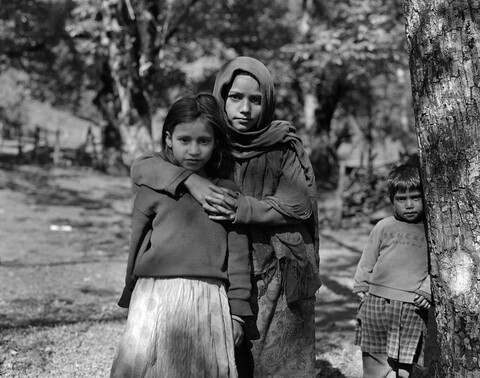 Lolab Valley, Kashmir. May 2016