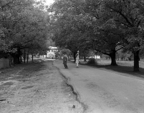 Lolab Valley, Kashmir. May 2016