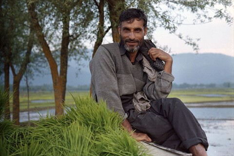 Lolab Valley, Kashmir. May 2016