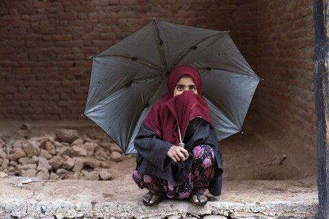 Lolab Valley, Kashmir. May 2016