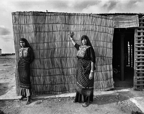 Kutch, Gujarat. October 2016