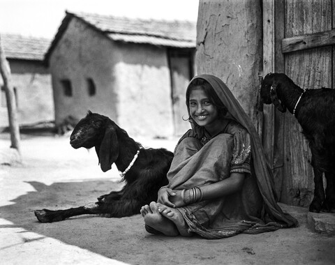 Kutch, Gujarat. October 2016
