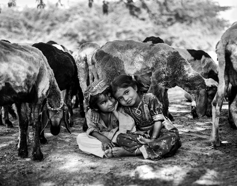Kutch, Gujarat. October 2016