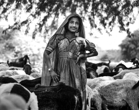 Kutch, Gujarat. October 2016