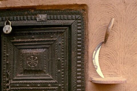 Mangar, Haryana. July 2017