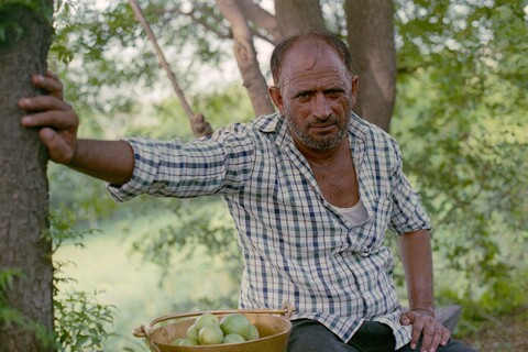 Mangar, Haryana. July 2017