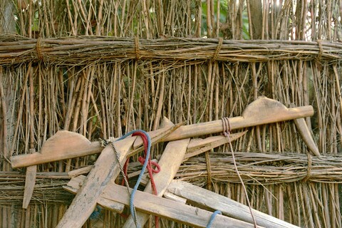 Mangar, Haryana. July 2017