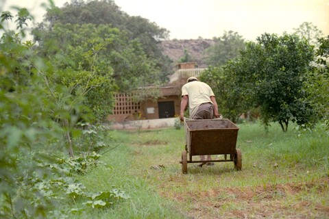 Mangar, Haryana. July 2017