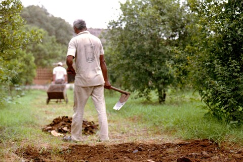 Mangar, Haryana. July 2017