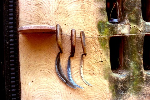 Mangar, Haryana. July 2017