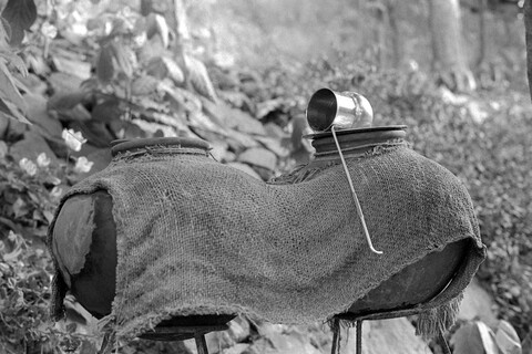 Mangar, Haryana. July 2017