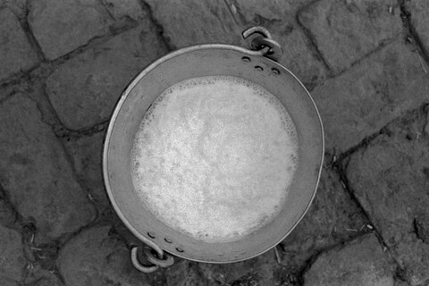 Mangar, Haryana. July 2017