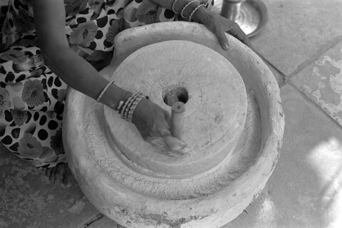 Mangar, Haryana. July 2017