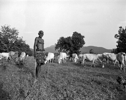 Sundergarh, Odisha. October 2017