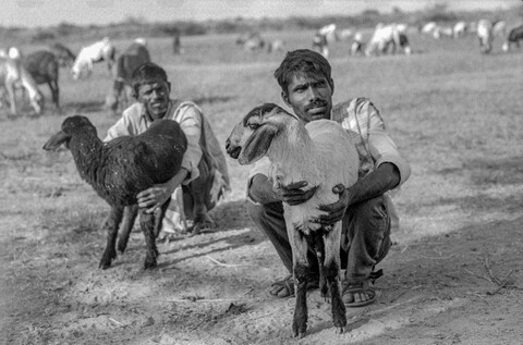 Medak, Telangana. October 2017