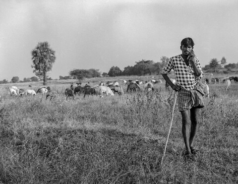 Medak, Telangana. October 2017