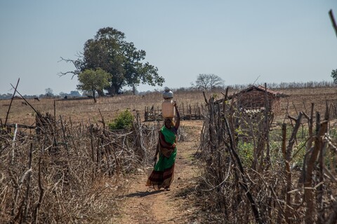Panna, Madhya Pradesh. January 2019