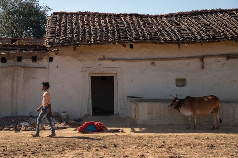 Panna, Madhya Pradesh. January 2019
