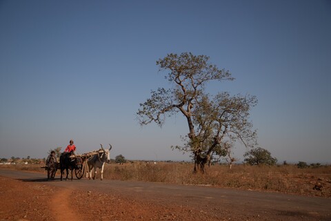Panna, Madhya Pradesh. January 2019