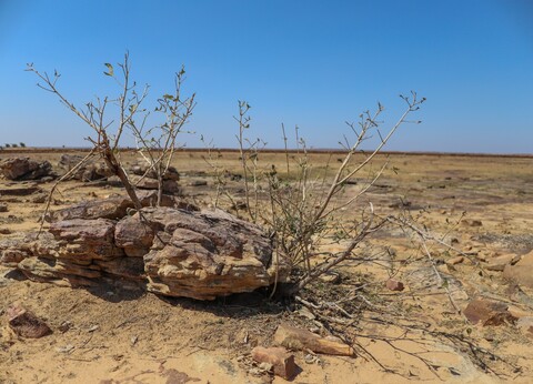 Panna, Madhya Pradesh. January 2019