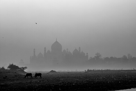 Agra, Uttar Pradesh. March 2020