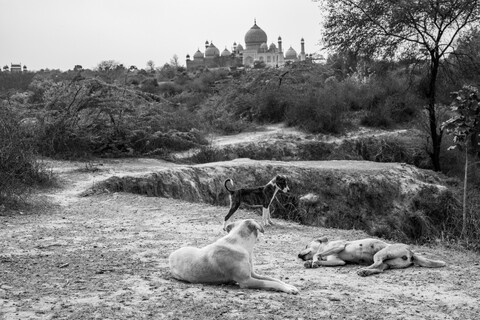 Agra, Uttar Pradesh. March 2020
