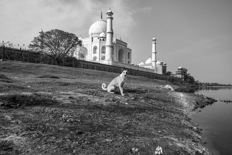 Agra, Uttar Pradesh. March 2020